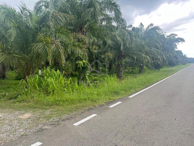 Kudat C.L Land For Sale 2