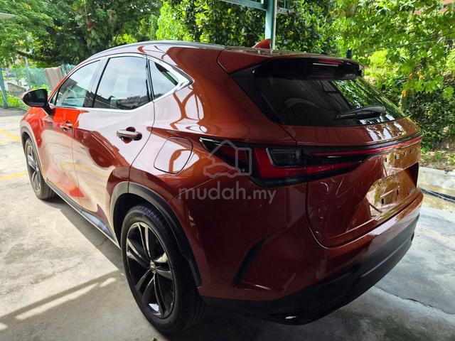 2023 Lexus NX 250 2.5 LUXURY 4LED PR LSRED 20 360 - 5