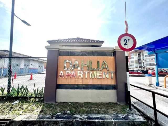 Dahlia Apartment 1