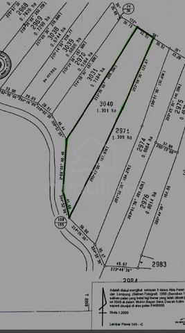 Tanah Sawit Nak JUAL MURAH 2