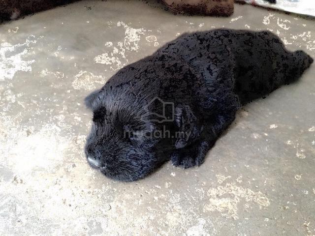 Carousel Image