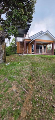 rumah dalam kebun durian 1