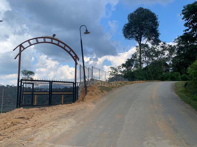 Tanarimba, Janda Baik, Bentong, Pahang. (Bungalow / Villa / Chalet ) 1