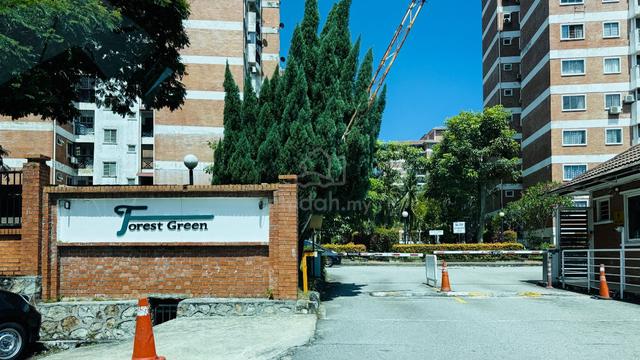 Forest Green Sungai Long UTAR Penthouse Room Rental High Floor Chinese 1