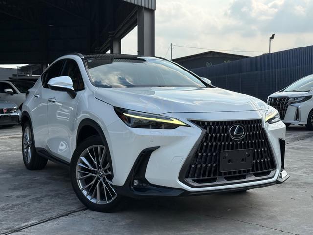 2022 Lexus NX250 2.5 Ver-L PanRoof/Nego Til Let Go - 1
