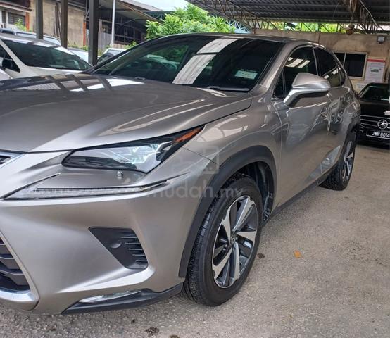 2018 Lexus NX300 2.0 PREMIUM (A) - 2