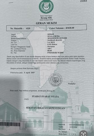 Tanah Bendang Untuk Dijual International Lot -Sg Pasir Sungai Petani 1