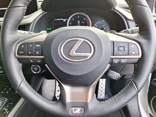 2021 Lexus RX300 F SPORT 2.0L (A) - 4
