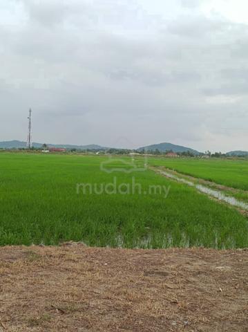 Geran Individu MURAH Bendang Kuala Muda 1