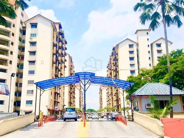 Vista Lavender 1