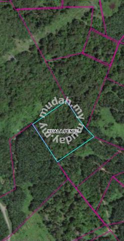 3.97 Acres Land In Kuala Penyu 1