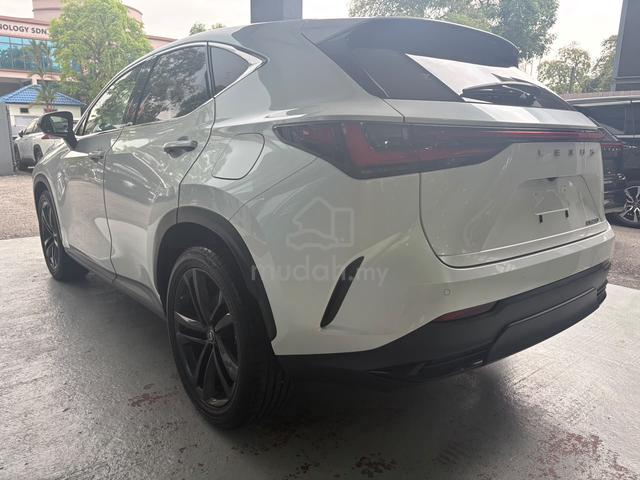 2022 Lexus NX250 2.5 LUXURY/AC SEATS/BLACK LEATHER - 3