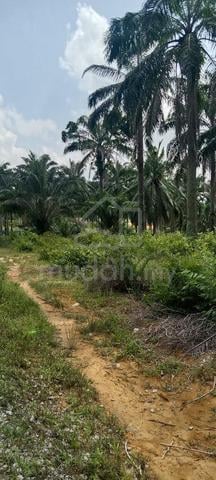 Melaka Jasin Residential Leasehold Land For Sale 1