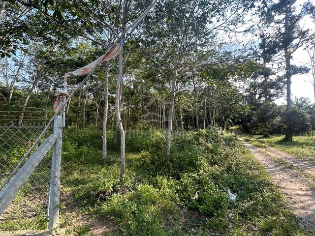 Tanah getah 5 ekar kg bukit tunggal segamat johor 1