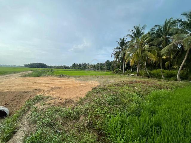 tanah murah pak pura 1