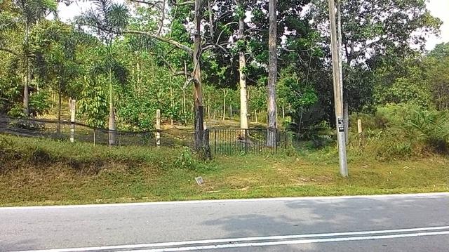 [Tanah Tepi Jalan] Tanah Pertanian 5 Ekar Linggi Lubok Cina Rembau 1