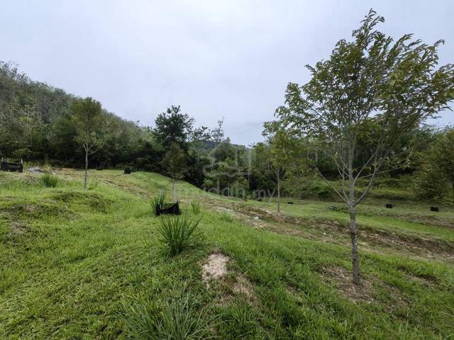 3 Acres Freehold Farm Facing Mainroad Kampung Kenaboi Kampung Kongkol 1