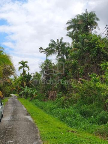 1.04 Acre Agricultural Land for Sale – Muara Tebas (near Kuch Airport) 1