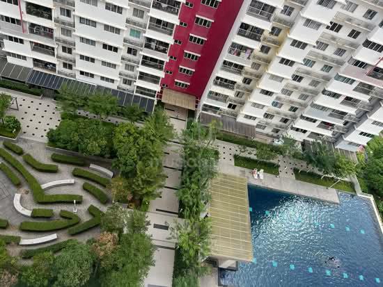 Koi Kinrara 1