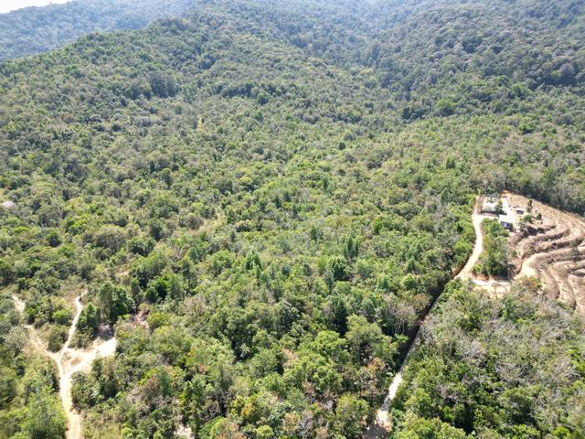 Gurun Besides Road Agricultural Land For Sale 1