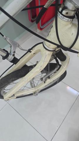 Carousel Image
