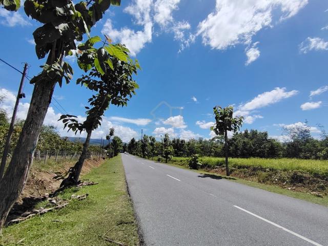 Agricultural Land with Main Road Frontage Kaki Bukit Perlis For Sale 1
