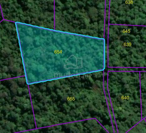 Kuching Matang 8 Miles Land For Sale 1
