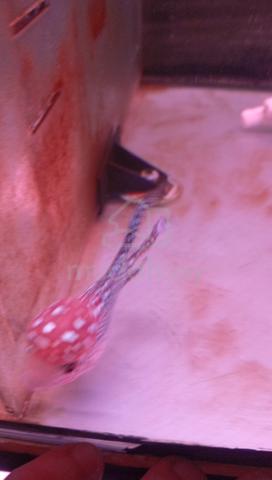 Carousel Image