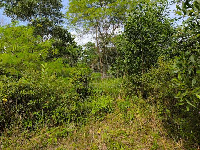 Bungalow Land at Nilai Spring Villas NSV 2, Nilai, Seremban 2
