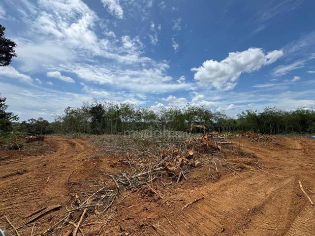 Freehold-Ready development agriculture land Durian Tunggal alor gajah 1