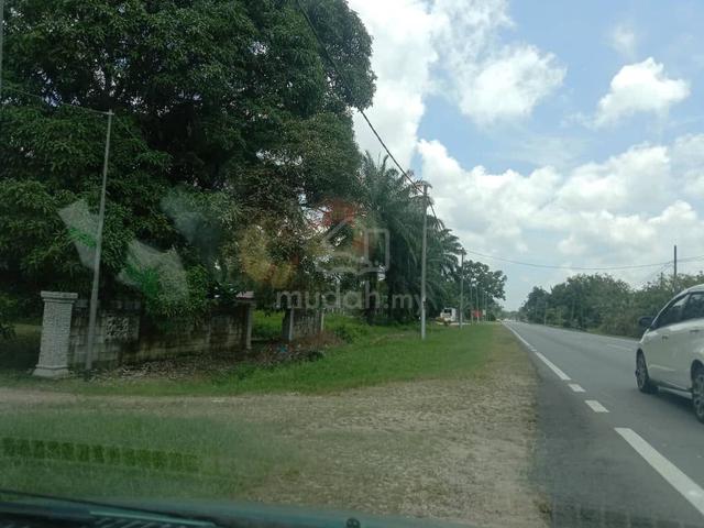 Kebun Sawit pontian/Sanglang/Zoning industri 1