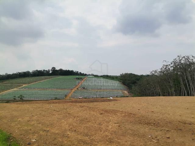 6 acres Land Freehold Jalan Lombong Near Kota Tinggi Town 1