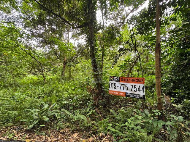 Tanah Pertanian 2 Ekar, Lokasi Strategik, Salak Tinggi, Labu Sepang 2