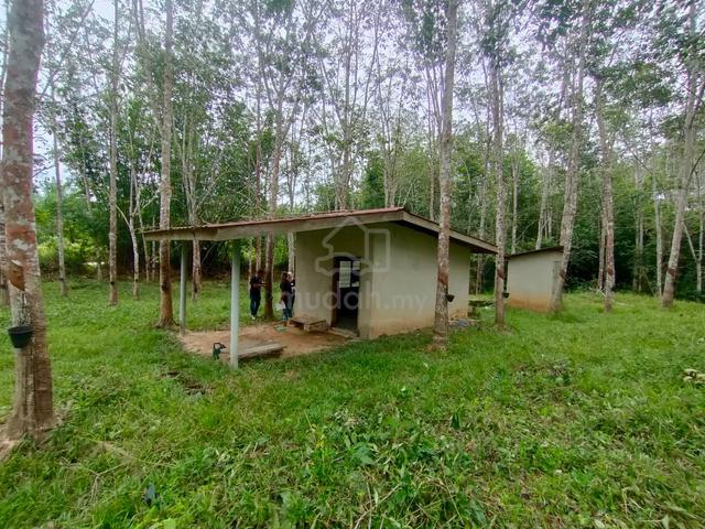 Tanah Pokok Getah Untuk Dijual di Padang Terap, Kedah 1