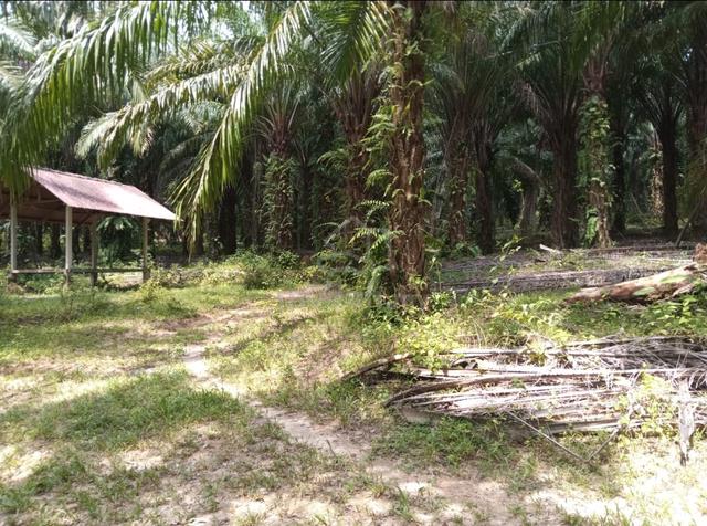 tanah non bumi murah di alor gajah 3