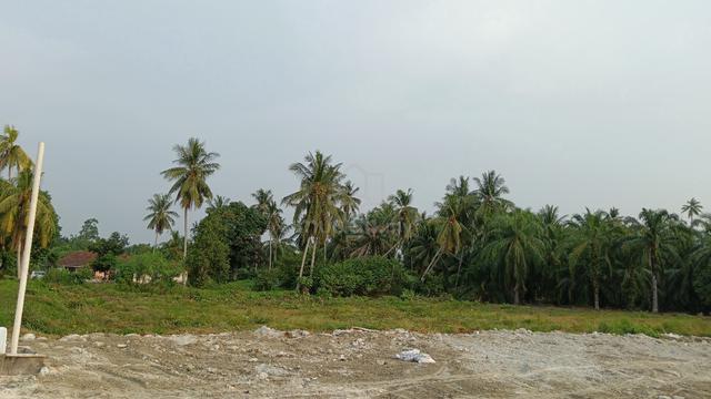 tanah untuk disewa 1