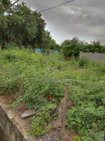 Kampung Paya Pulai, Segamat, Johor 1