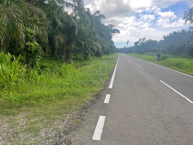 CL Land | 49.02 acres | Roadside land | Palm Oil | Kg Tajau | Kudat 1