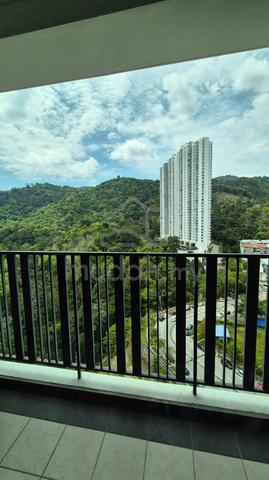 ForestVille 1
