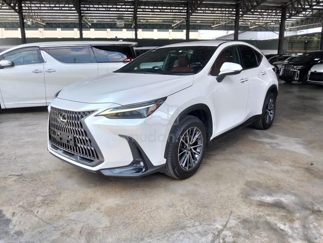 4A 13K KM MILEA UNREG 2023 Lexus NX 250 2.5 OFFER - 3