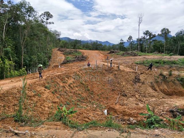 Road side agriculture land 1