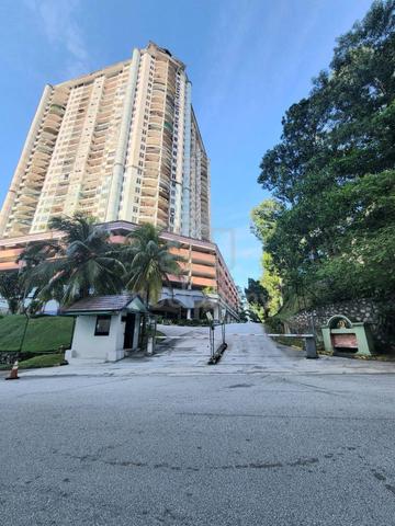Venice Hill 1