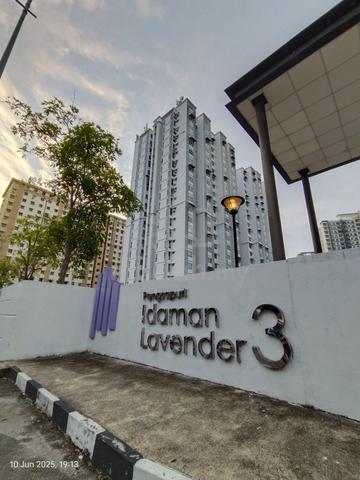 Idaman Lavender 3 1