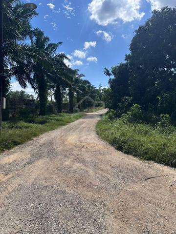 Ulu Tiram, Agricultural land for sell, Jalan Permata, 423k Sqft 1