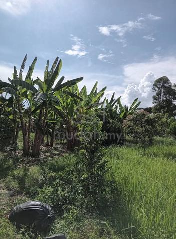 0.8 1,and 4 ekar tanah 1