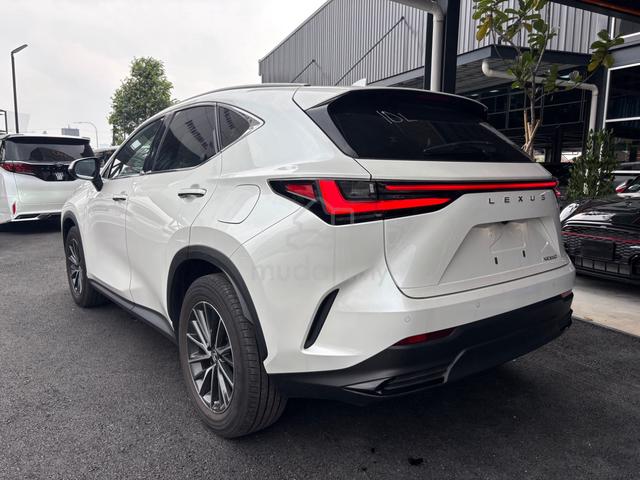 2023 Lexus NX250 2.5 VERSOL L 360CAM PANAROMIC ROF - 4