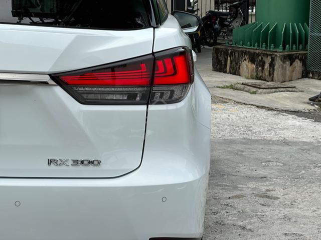 Full Spec 2021 Lexus RX300 F SPORT 2.0L - 5