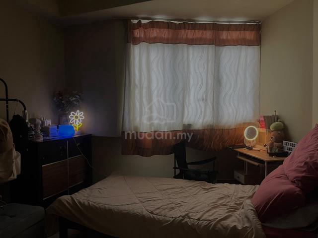 Single Room for rent 1