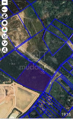 [FREEHOLD] Machap Selandar Near Road Side Oil Palm Plantation @ Jasin 1