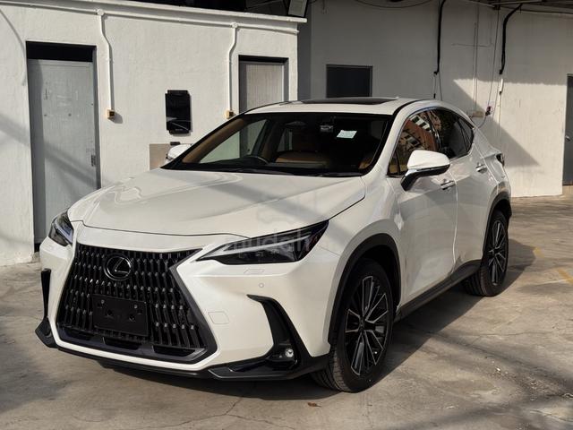 2023 Lexus NX250 2.5 LUXURY (A) - 3